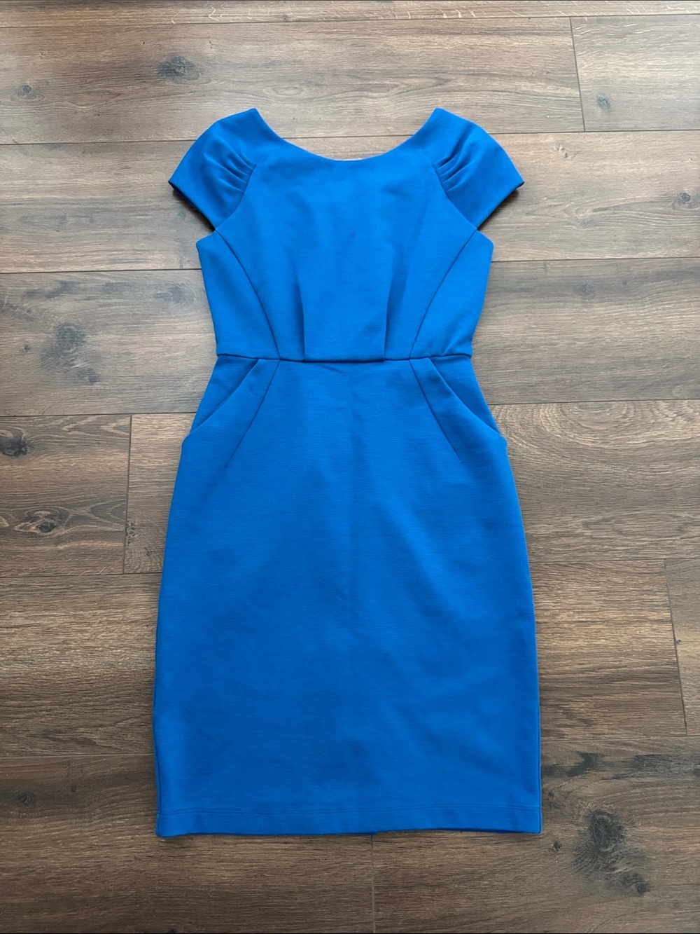 Max and Cleo River Blue Pleated Cap Sleeve Sheath Dress Size 2